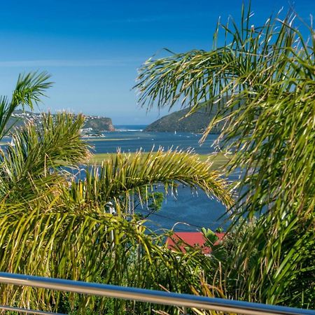 Guest House The Lazy Lion Knysna Exterior photo