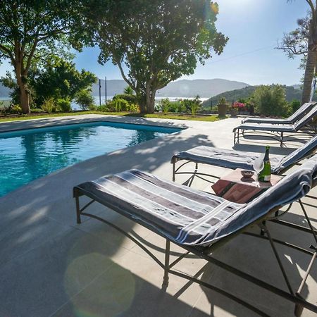 Guest House The Lazy Lion Knysna Exterior photo