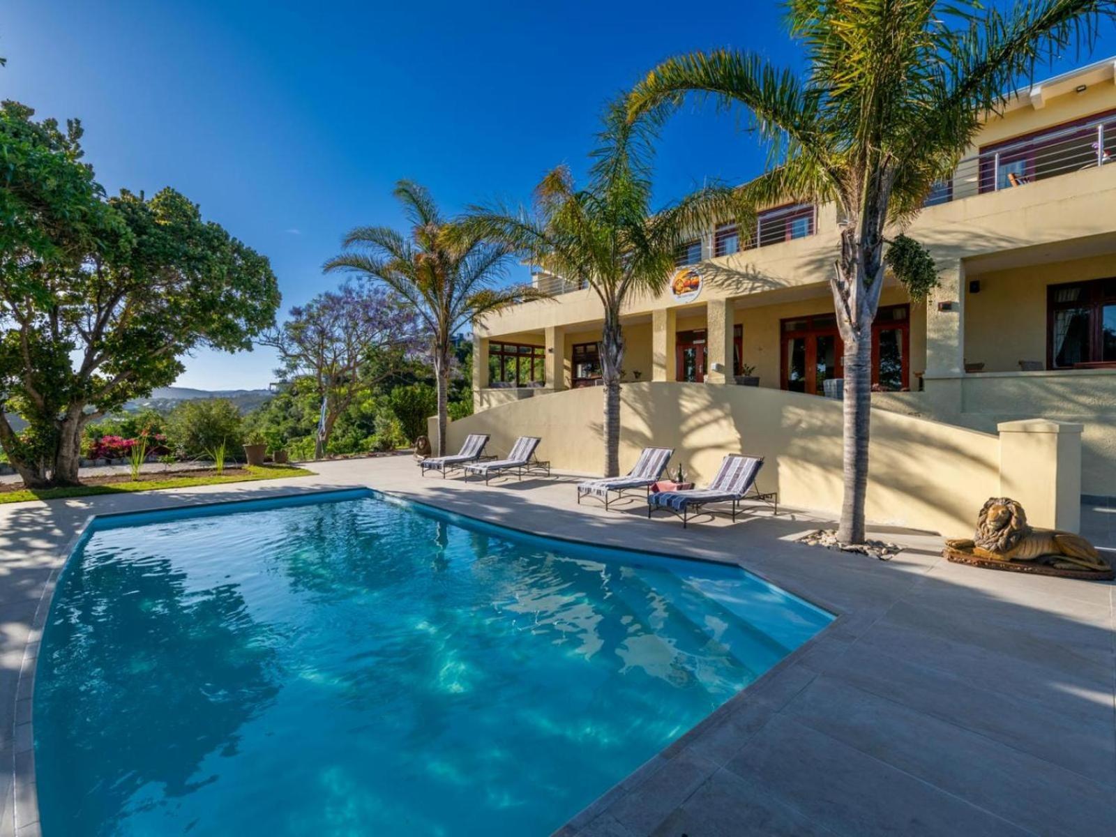 Guest House The Lazy Lion Knysna Exterior photo