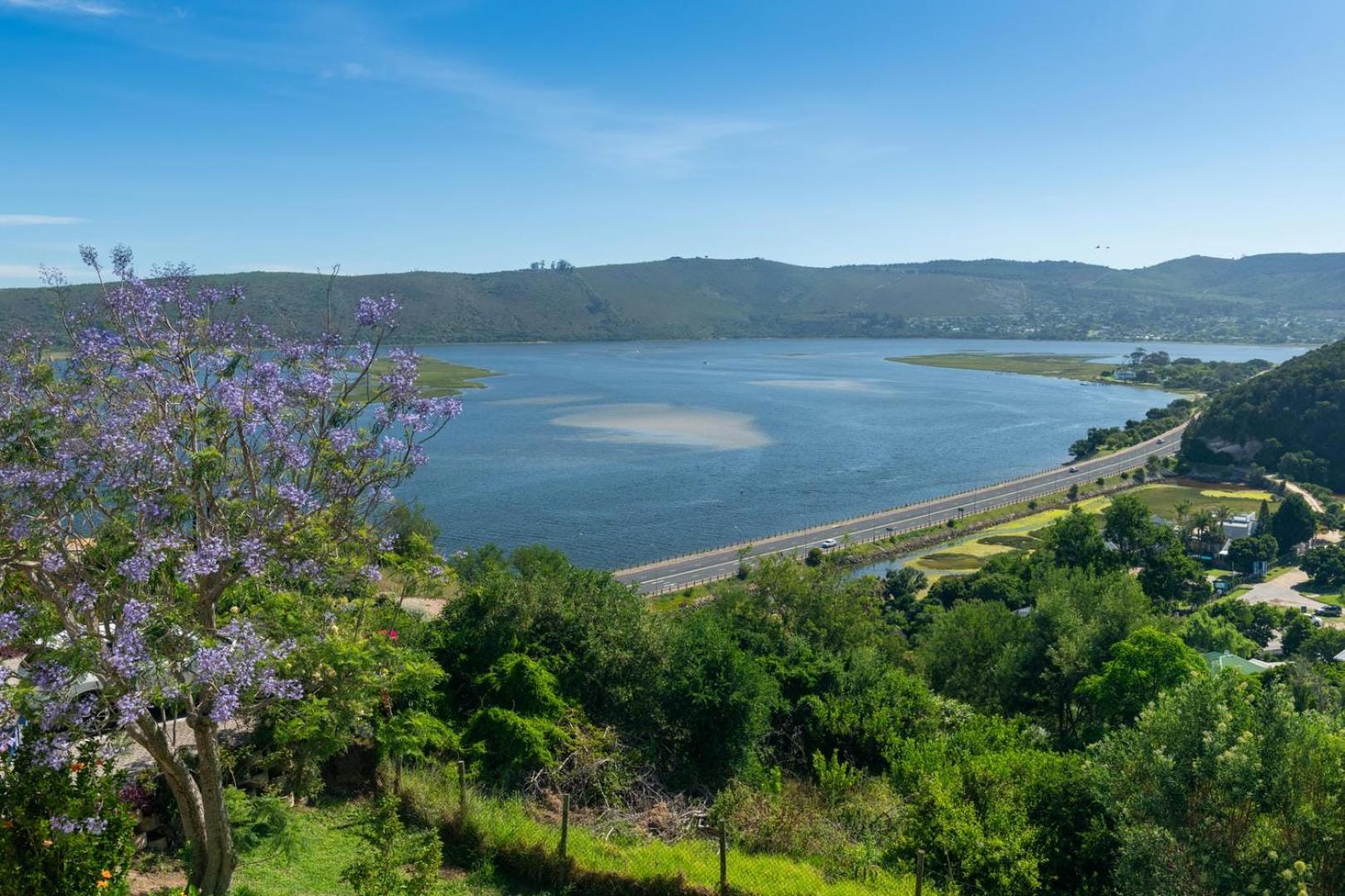 Guest House The Lazy Lion Knysna Exterior photo